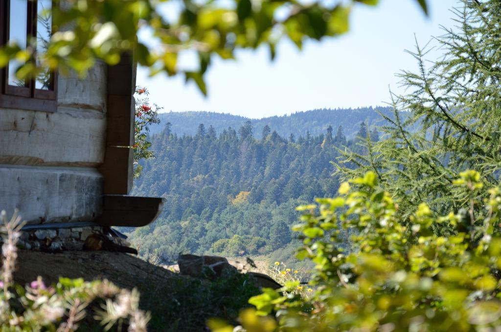 Schronisko Gorskie Nad Smolnikiem Smolnik  Exteriér fotografie